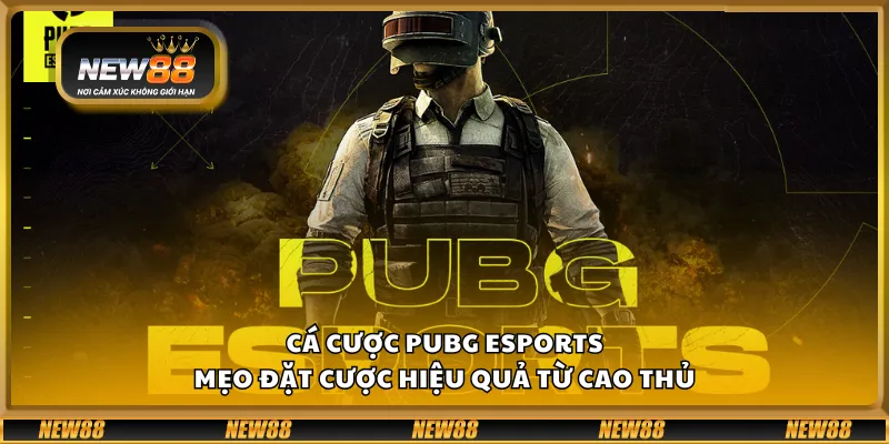 Cá cược PUBG eSports – Mẹo đặt cược hiệu quả từ cao thủ