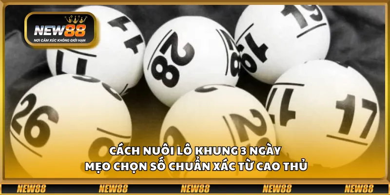 Cách nuôi lô khung 3 ngày - Mẹo chọn số chuẩn xác từ cao thủ