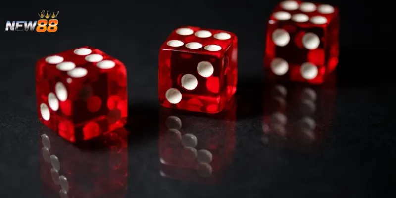 Làm thế nào để đọc cầu tài xỉu và bắt kịp nhịp trận đấu?