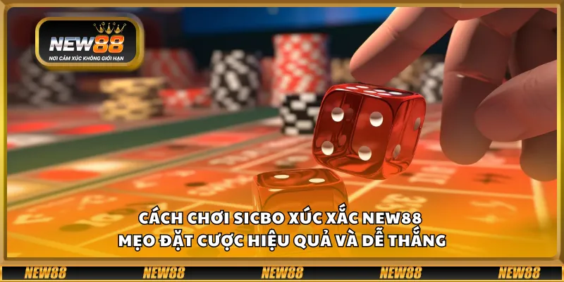 Cách chơi Sicbo xúc xắc New88 – Mẹo đặt cược hiệu quả và dễ thắng
