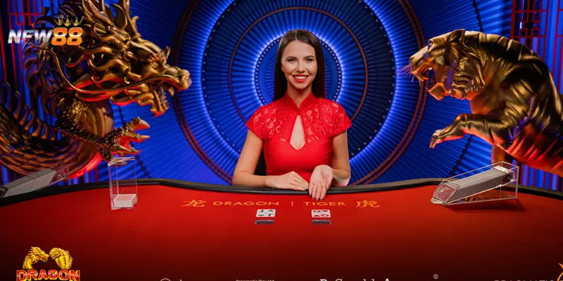 Cách chơi Dragon Tiger cơ bản cho người mới