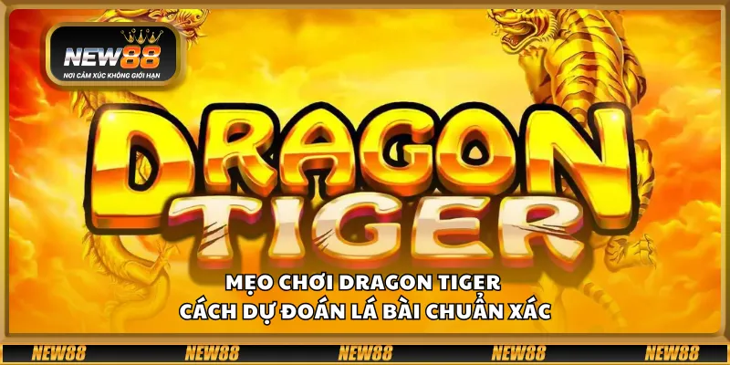 Mẹo chơi Dragon Tiger – cách dự đoán lá bài chuẩn xác